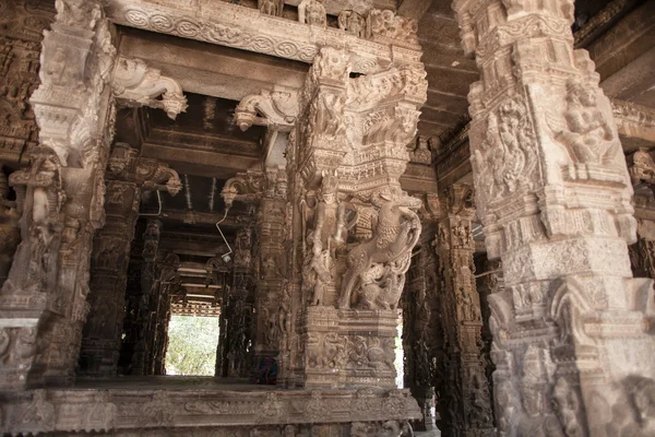 Ancient stone carvings in Varadaraja Temple — Stock Photo, Image