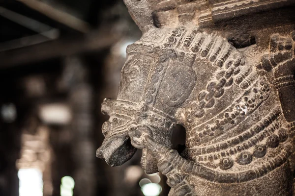 Antiguas tallas de piedra en el Templo de Varadaraja — Foto de Stock