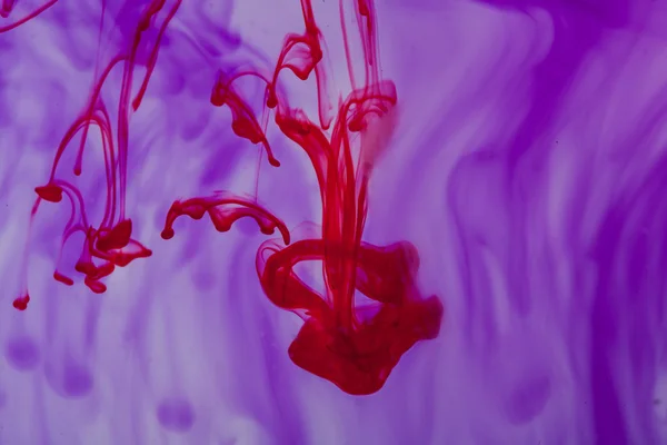 Red and violet liquid in water — Stock Photo, Image