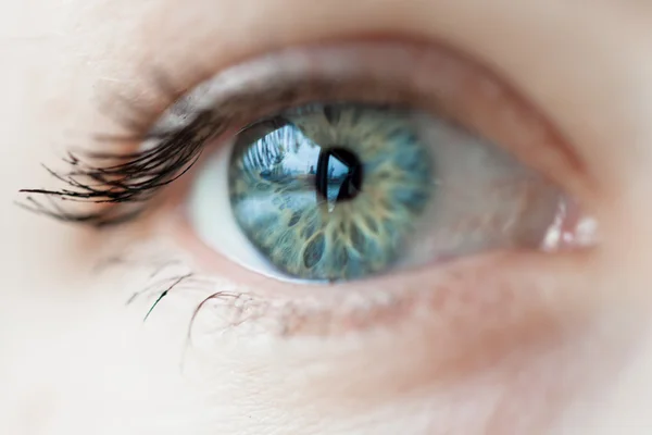 Kvinnor blue eye — Stockfoto