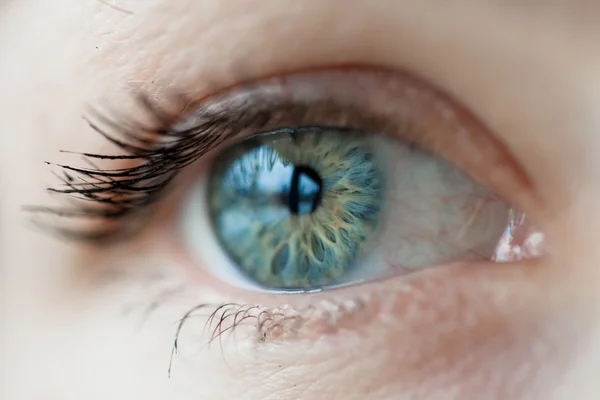 Kvinnor blue eye — Stockfoto