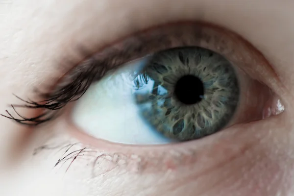 Женщины голубые глаза — стоковое фото