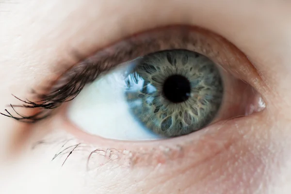 Mulheres olho azul — Fotografia de Stock