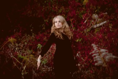 Halloween veya Şükran tatil için büyük kabak farklı typ alanıyla kabak yama.