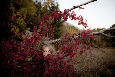 Güzel kız sonbahar portresi. Kırmızı yaprakları. Sonbahar renkleri