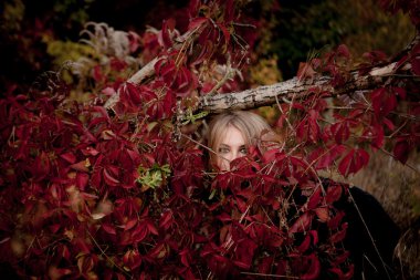 Güzel kız sonbahar portresi. Kırmızı yaprakları. Sonbahar renkleri
