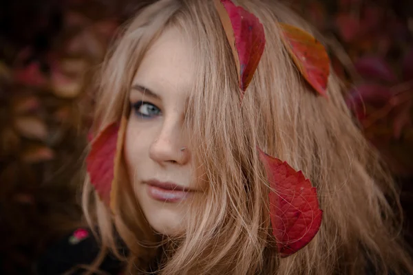 Herbst Porträt der schönen Mädchen. Rote Blätter. Herbstfarben — Stockfoto