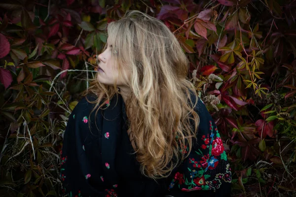 Junges Mädchen in einer Herbst-Halloween-Hexe gekleidet — Stockfoto