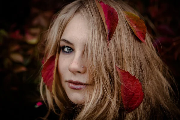 Herfst portret van mooi meisje. Rode bladeren. Herfst kleuren — Stockfoto