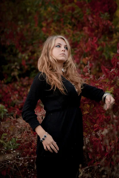 Piękna dziewczyna w czarnej sukni, stojący wśród kolorowych liści — Zdjęcie stockowe