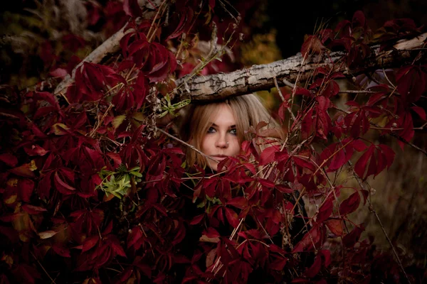 Menina bonita em vestido preto em pé entre folhas coloridas — Fotografia de Stock