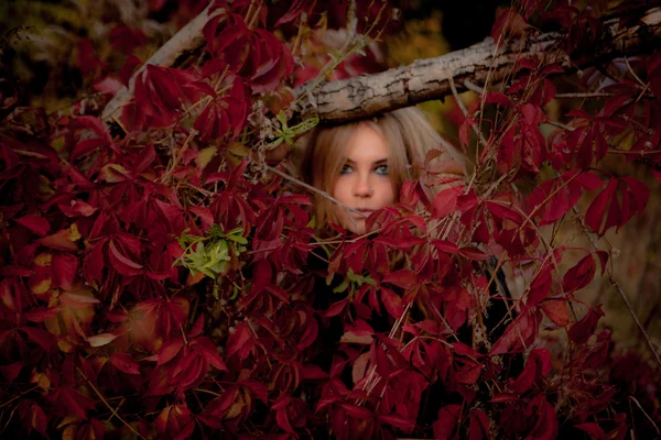 Schönes junges Mädchen im schwarzen Kleid, das zwischen bunten Blättern steht — Stockfoto