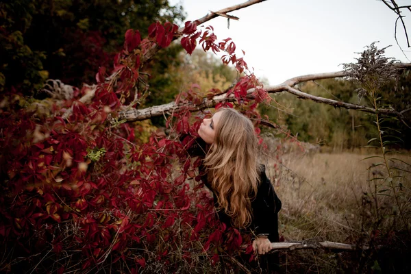 Hermosa joven en vestido negro de pie entre hojas de colores —  Fotos de Stock