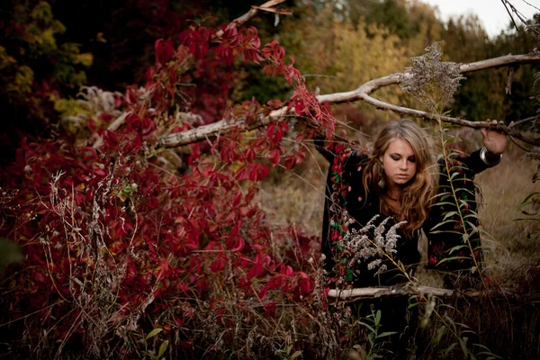 Herfst portret van mooi meisje. Rode bladeren. Herfst kleuren — Stockfoto