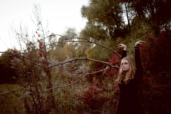 Herfst portret van mooi meisje. Rode bladeren. Herfst kleuren — Stockfoto