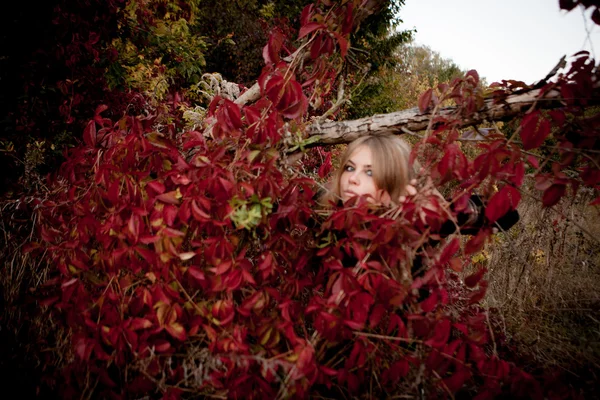 Herbst Porträt der schönen Mädchen. Rote Blätter. Herbstfarben — Stockfoto