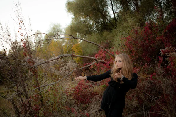 Retrato de otoño de una chica hermosa. Hojas rojas. Colores otoñales —  Fotos de Stock