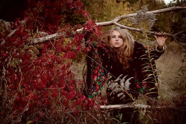 Herfst portret van mooi meisje. Rode bladeren. Herfst kleuren — Stockfoto