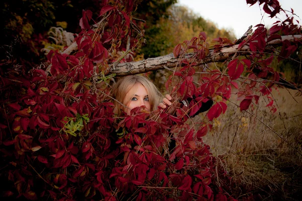 Retrato de outono de menina bonita. Folhas vermelhas. Coloras de outono — Fotografia de Stock