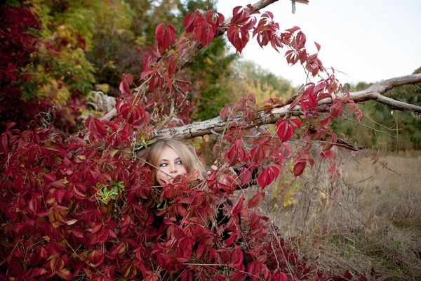 Herfst portret van mooi meisje. Rode bladeren. Herfst coloras — Stockfoto