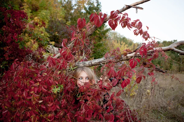 Podzimní portrét krásné dívky. Červené listy. Podzimní coloras — Stock fotografie