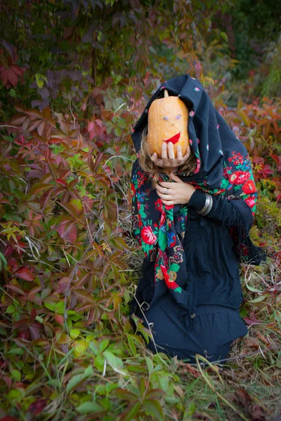 Retrato de otoño de una chica hermosa. Hojas rojas. Coloras otoñales — Foto de Stock