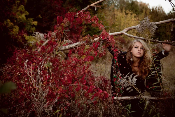 Menina bonita em vestido preto em pé entre folhas coloridas — Fotografia de Stock