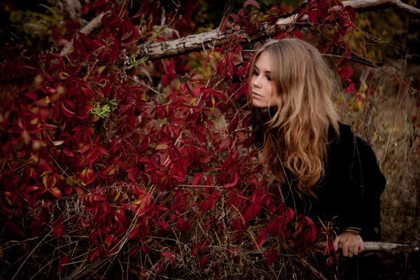 Schönes junges Mädchen im schwarzen Kleid, das zwischen bunten Blättern steht — Stockfoto