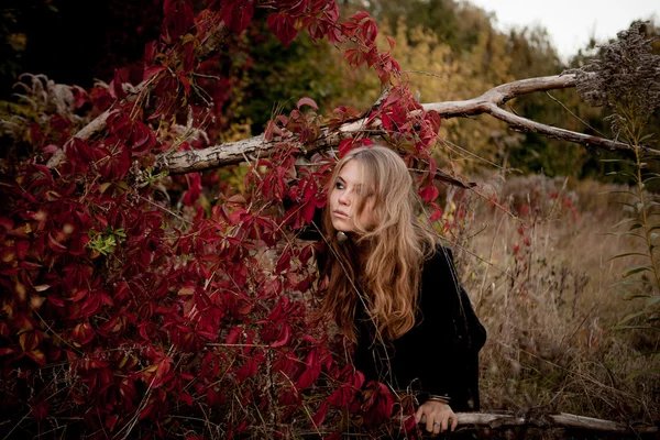 Menina bonita em vestido preto em pé entre folhas coloridas — Fotografia de Stock