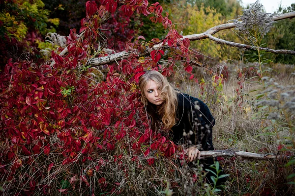 Menina bonita em vestido preto em pé entre folhas coloridas — Fotografia de Stock