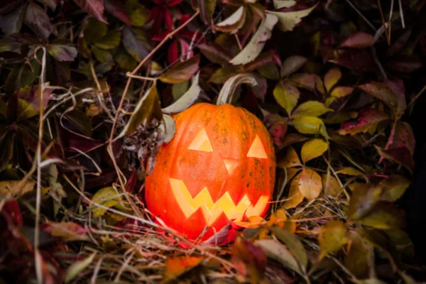 Pompoen met verlichting kaars in herfst bladeren — Stockfoto