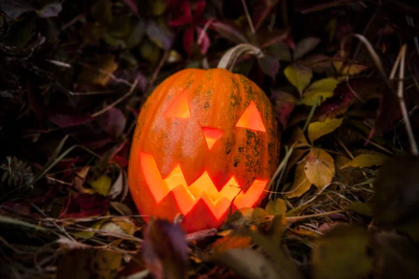 Pumpkin with lighting candle in autumn leaves — Stock Photo, Image