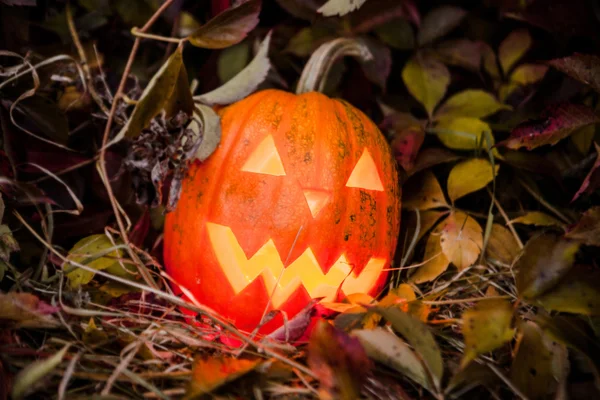 Pumpkin with lighting candle in autumn leaves — Stock Photo, Image