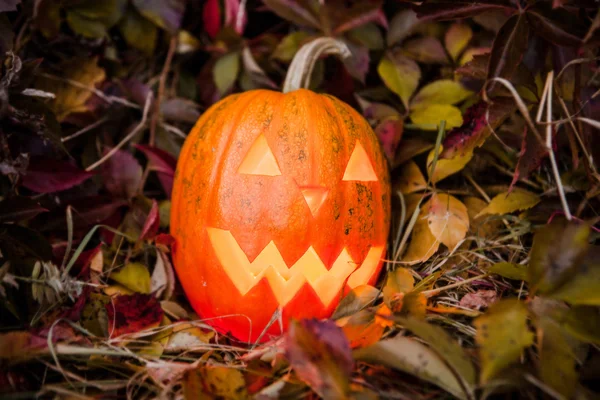 Pumpkin with lighting candle in autumn leaves — Stock Photo, Image