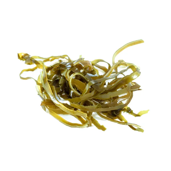 Alg Laminaria (Kelp) na białym tle — Zdjęcie stockowe
