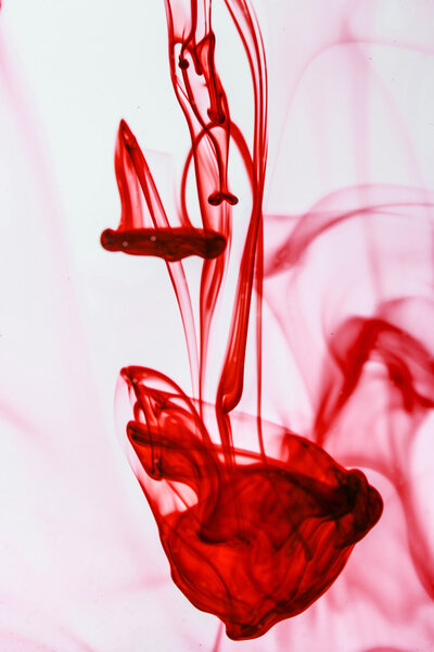 Red ink liquid in water making abstract forms