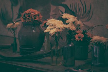 Keukenhof odanın Van Gogh Kral Bahçe Konservatuarı