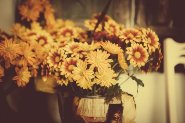 Keukenhof odanın Van Gogh Kral Bahçe Konservatuarı