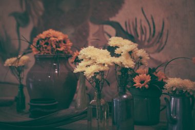 Keukenhof odanın Van Gogh Kral Bahçe Konservatuarı