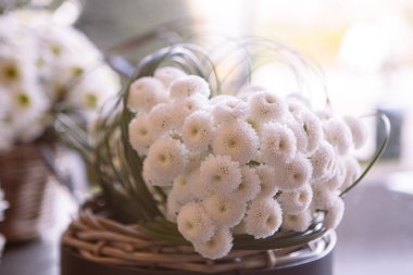 güzel beyaz çiçek sepeti