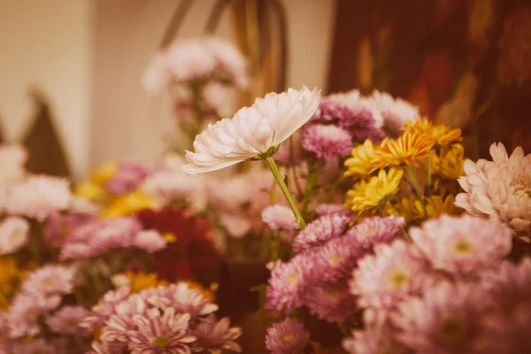 Beautiful lilac flowers — Stock Photo, Image