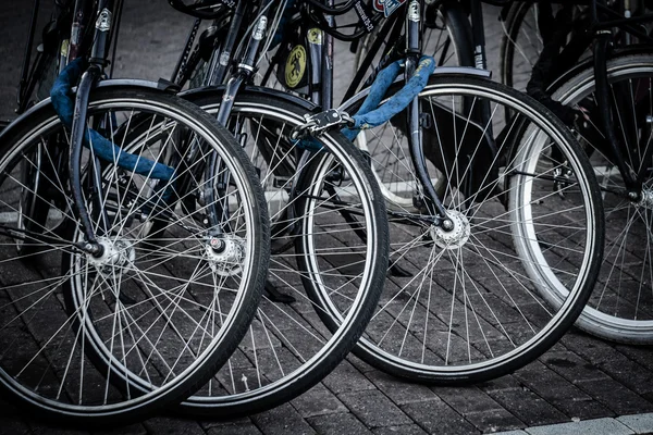Bicycles in Amsterdam — Stock Photo, Image
