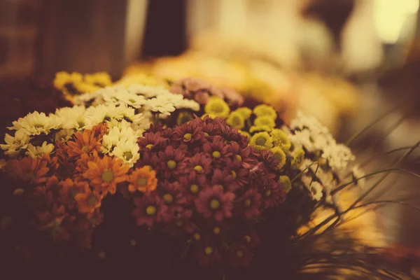 Květy dekorace — Stock fotografie