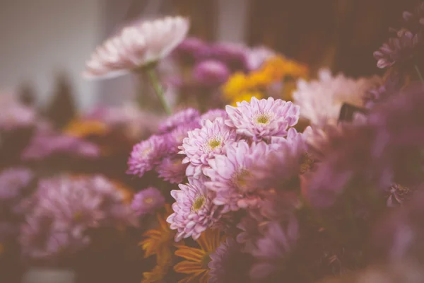Lindas flores lilás — Fotografia de Stock