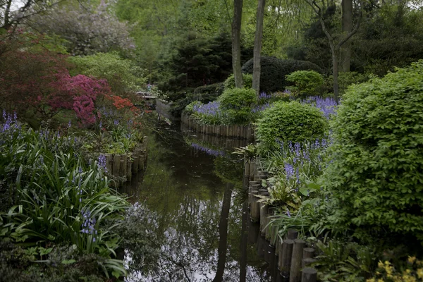 キューケンホフ - ヨーロッパで最も大きい庭花 - オランダ — ストック写真