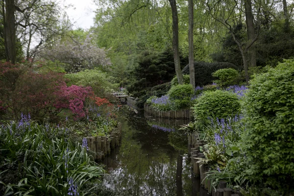 Keukenhof - Avrupa'nın en büyük çiçek Bahçe - Hollanda — Stok fotoğraf