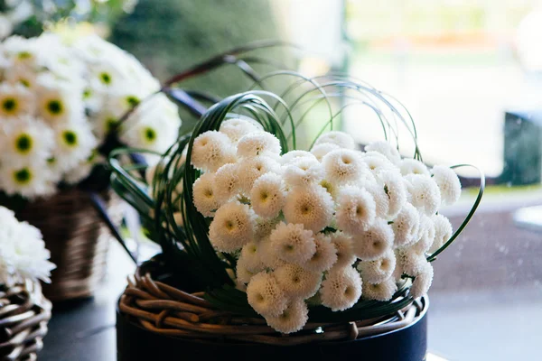 Bellissimo fiore bianco nel cesto — Foto Stock