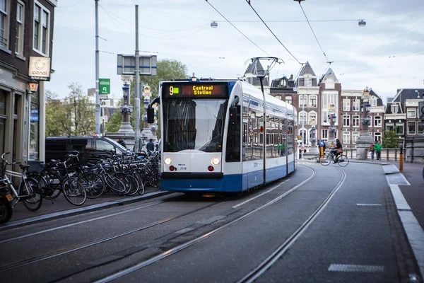 암스테르담 트램 — 스톡 사진