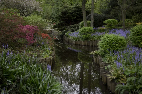 Keukenhof - El jardín de flores más grande de Europa — Foto de Stock