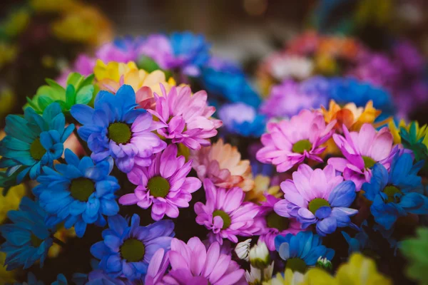 Flores — Fotografia de Stock